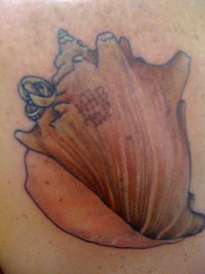 shell tattoo. Celtic Tattoo