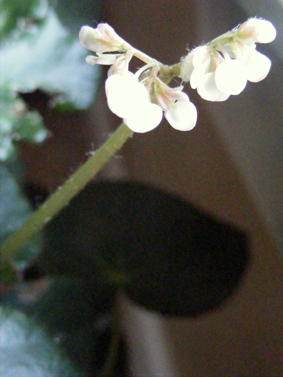 [DSCF2065.JPG]