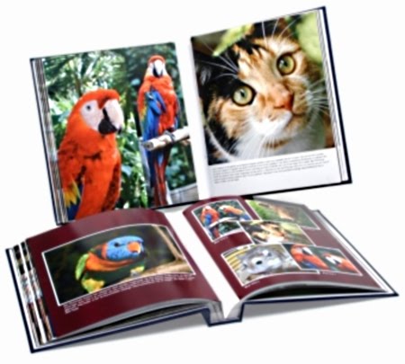 Free v6.1.5.0 Portable