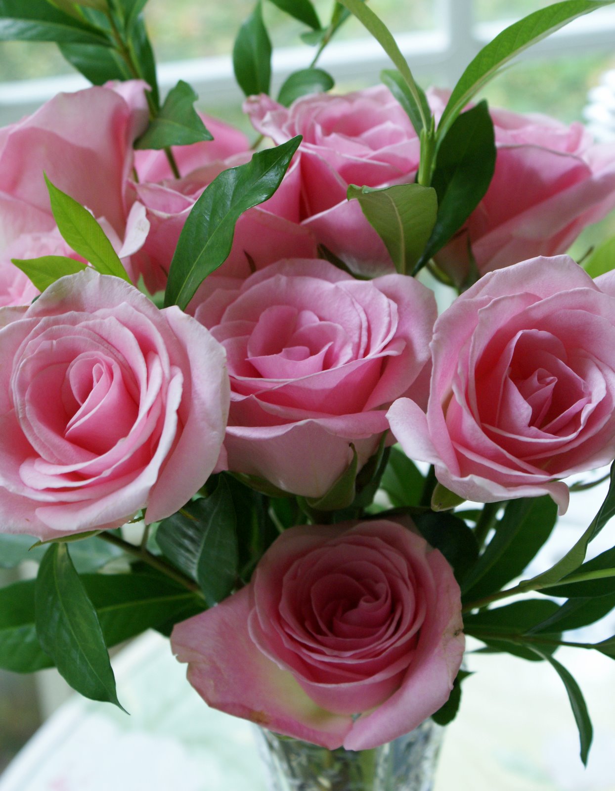 A Little Loveliness Roses for Mother
