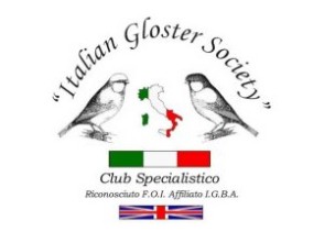 Italian Gloster Society Blog