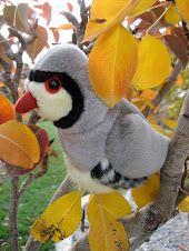 Partridge in our Pear Tree