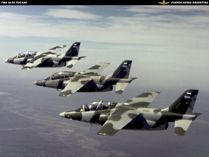 Vuelo Rasante Piloto Argentino Vuelo Rasante Piloto Argentino