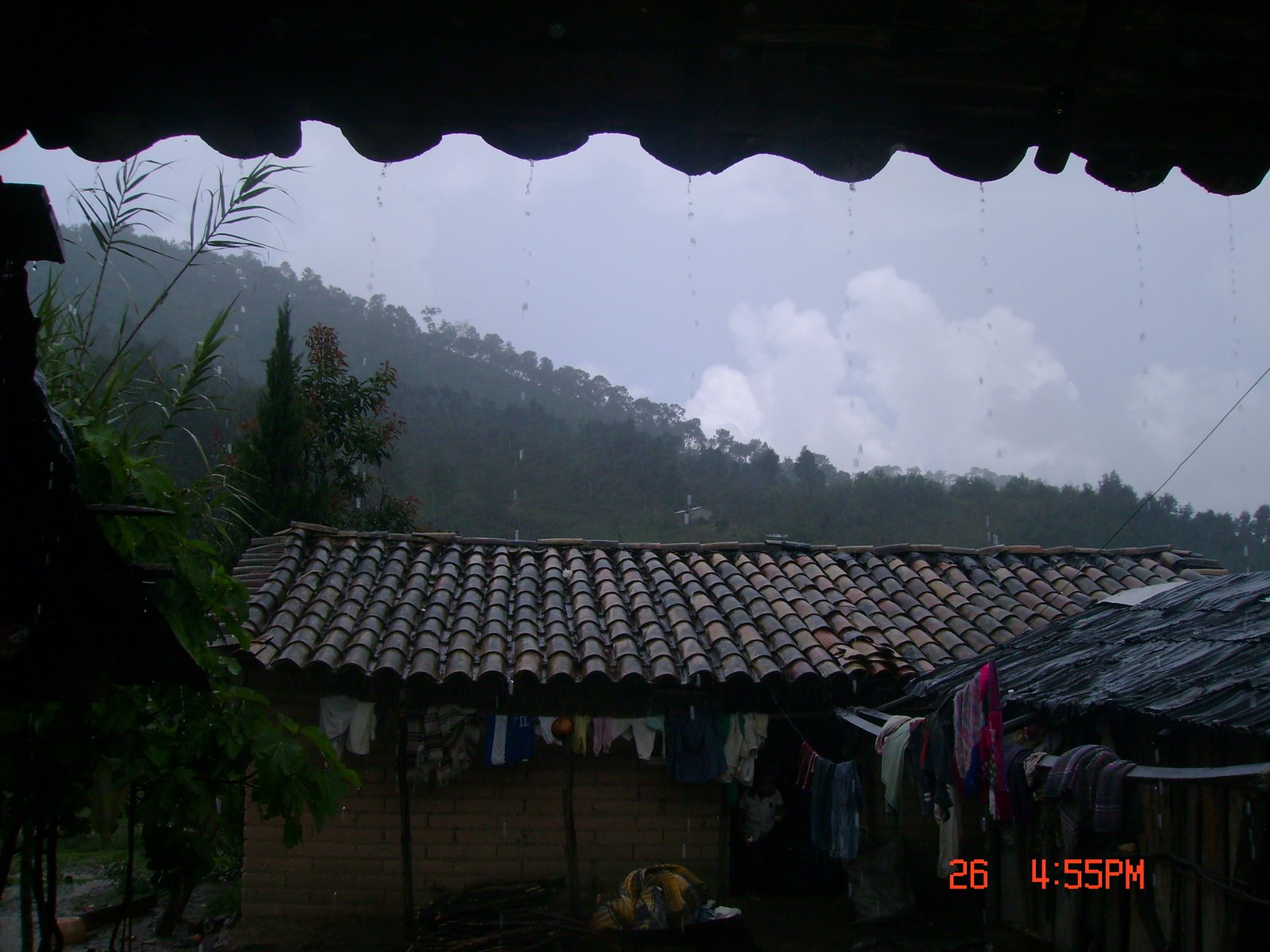 [DSC03973.JPG]