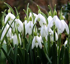 external image 2247800129_dee04256ba_m.jpg