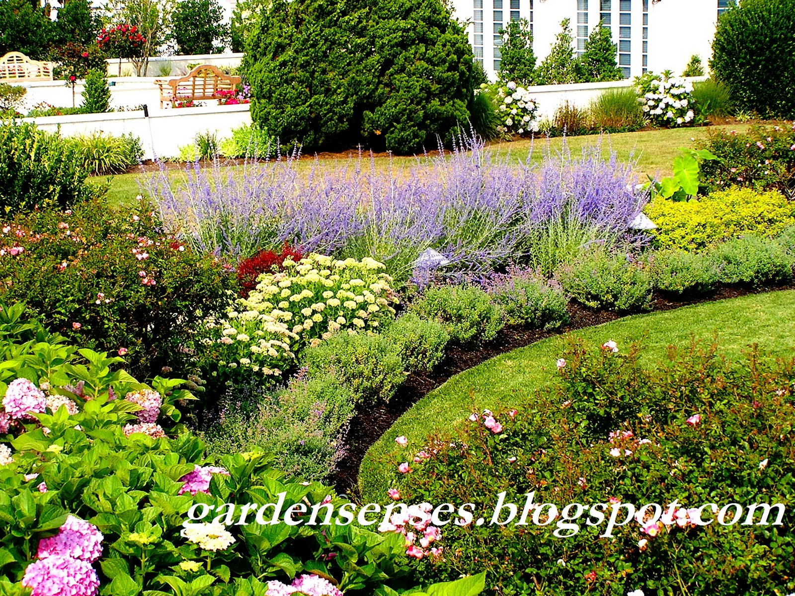 Garden Sense High Performing Perennials