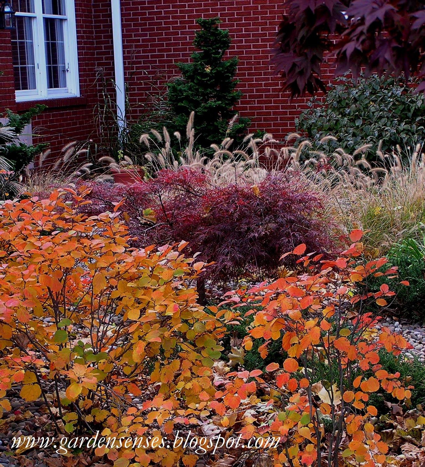 Garden Sense Fall Ensemble