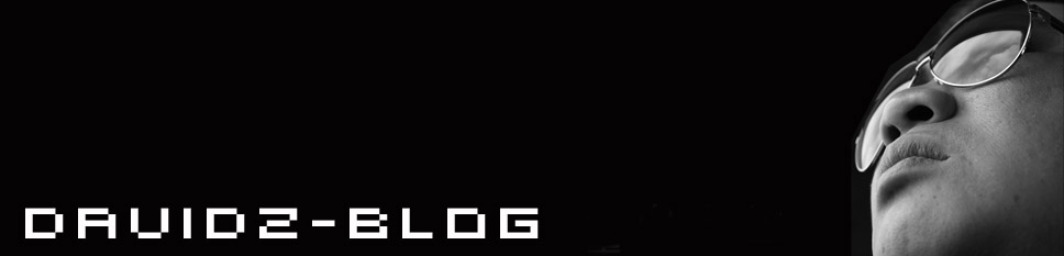 D  a  v  i  d  z  -  The Blog