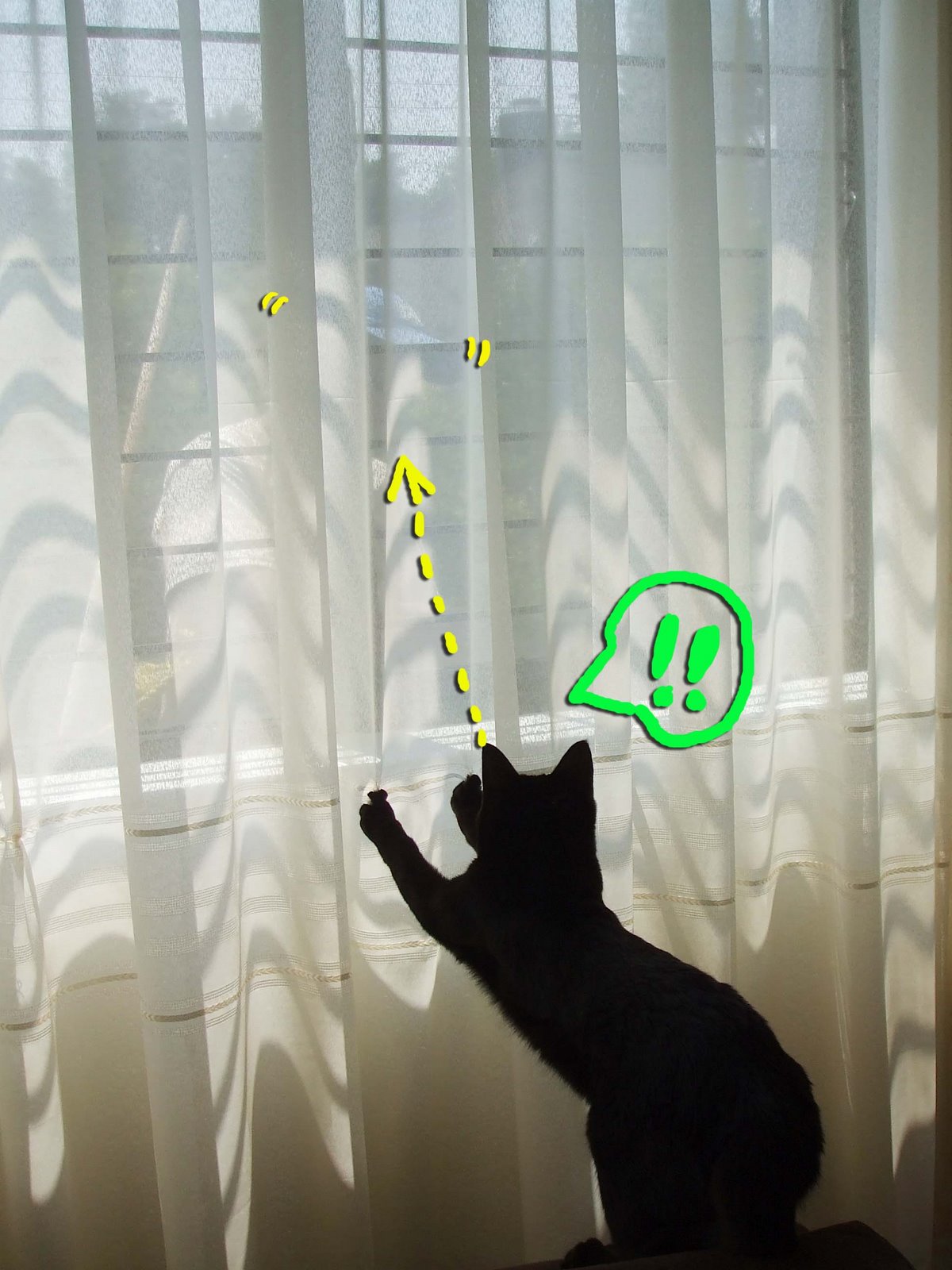 [window1.jpg]
