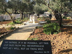 Garden of gethsemane