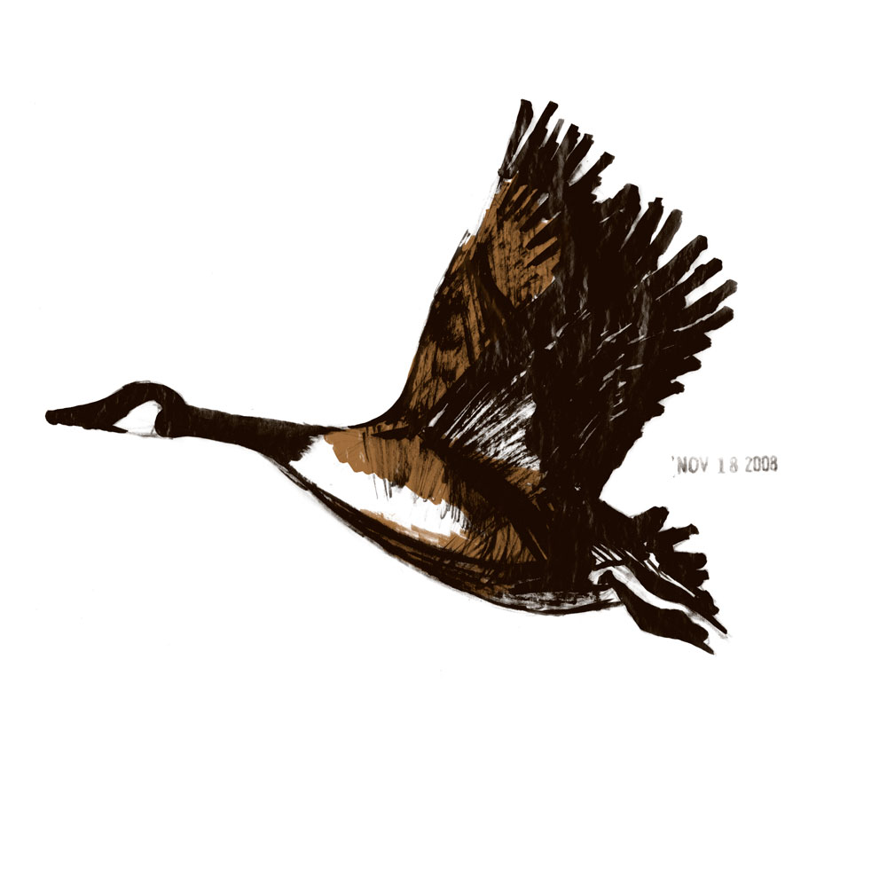 [gooseweb.jpg]