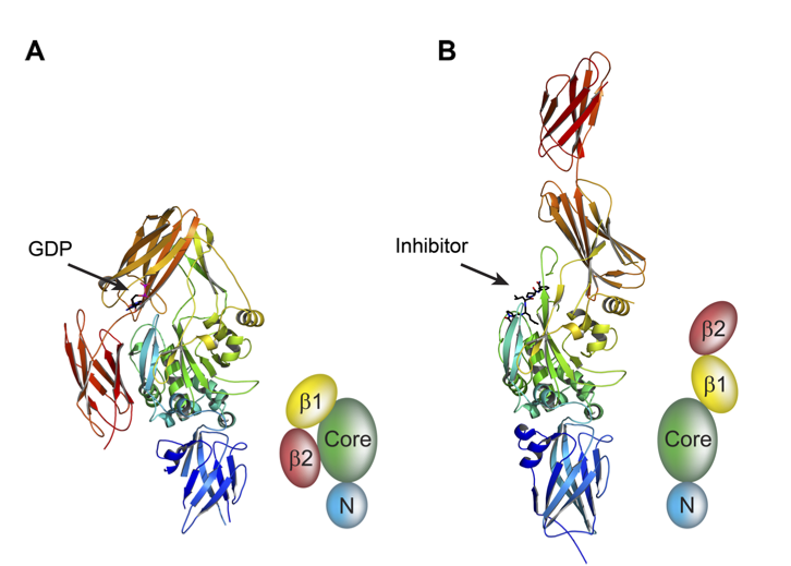 Finding My Kd The Transglutaminase Project code name "Meat Glue"