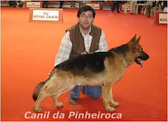 S`kooby do Alto do Moinho (fundador do Canil da Pinheiroca)