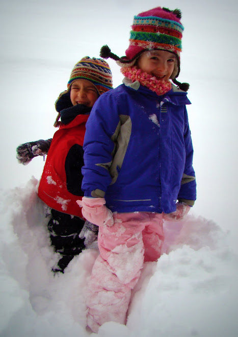 SNOW TOO DEEP TO SLED RIDE?