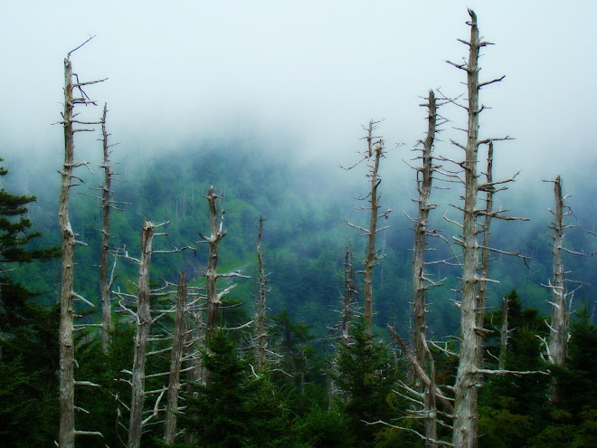 The smoke from the Smokies