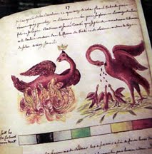 Nicolas Flamel's Alchemical Pelican