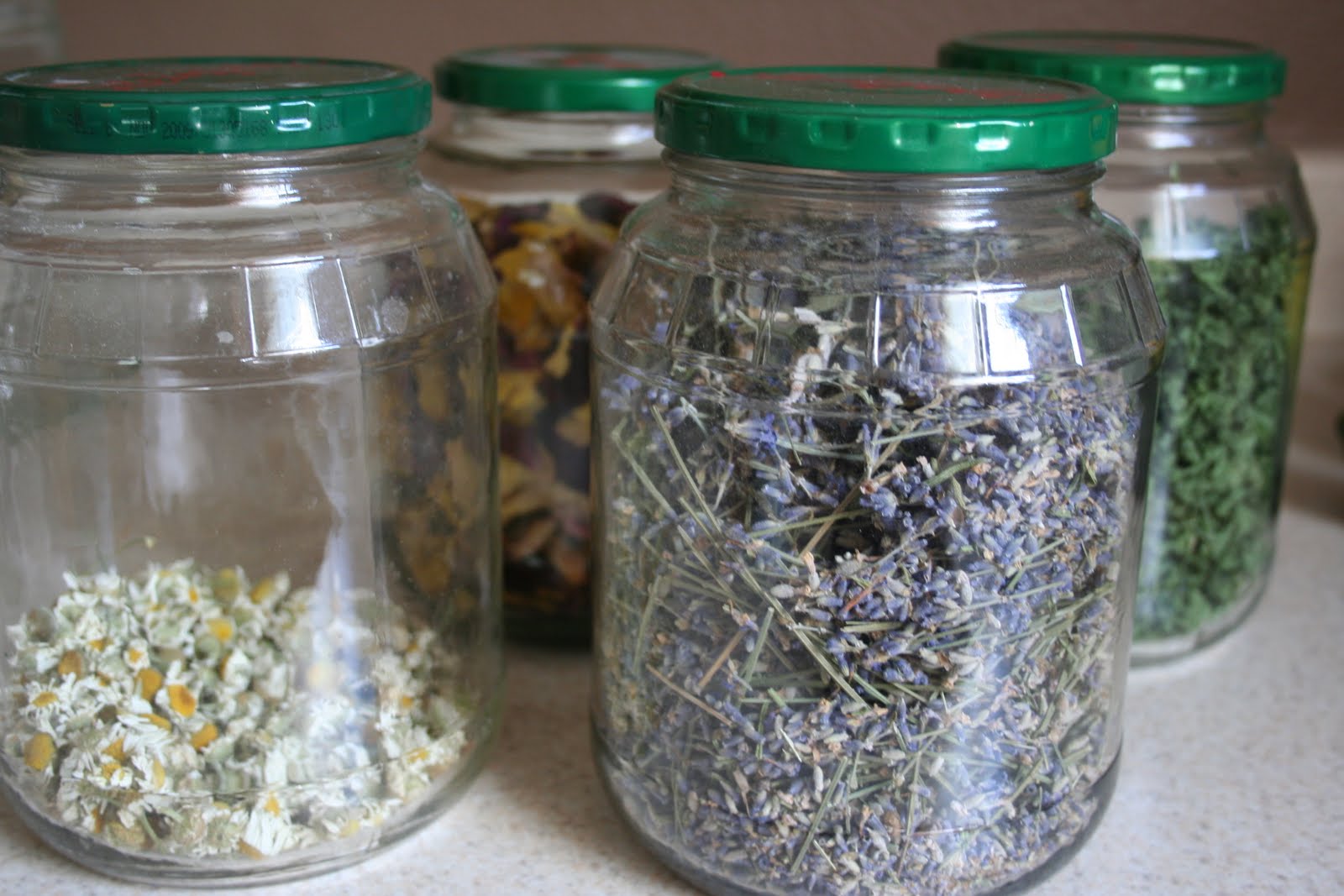 Smelly Pickle Jars Momzoo