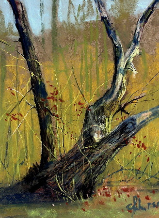 Leaning Tree -plein air