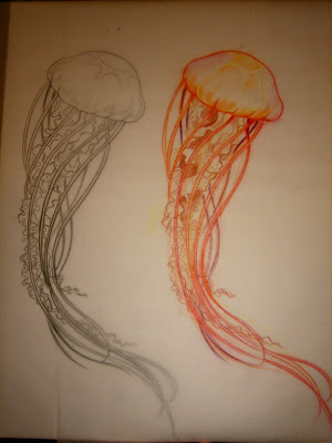 Jellyfish Tattoo Drawing