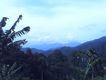Tracings of the Asli And Malay Ancestry