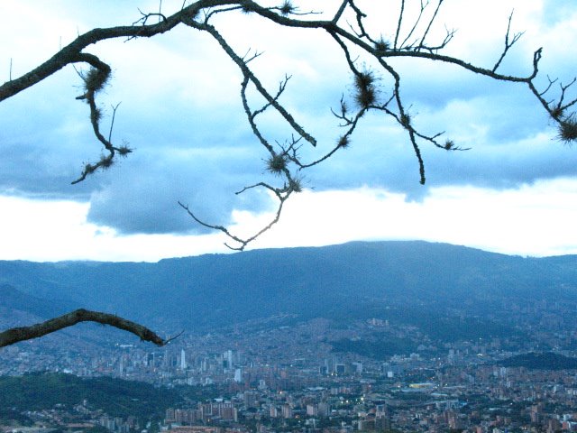 [IMG_1689.JPG]