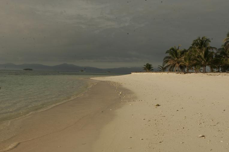[playa+desnuda.JPG]