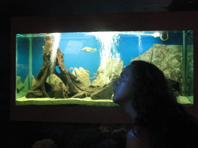 [IMG_2245.JPG]