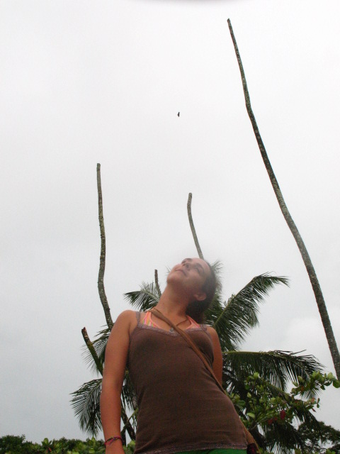 [IMG_2569.JPG]