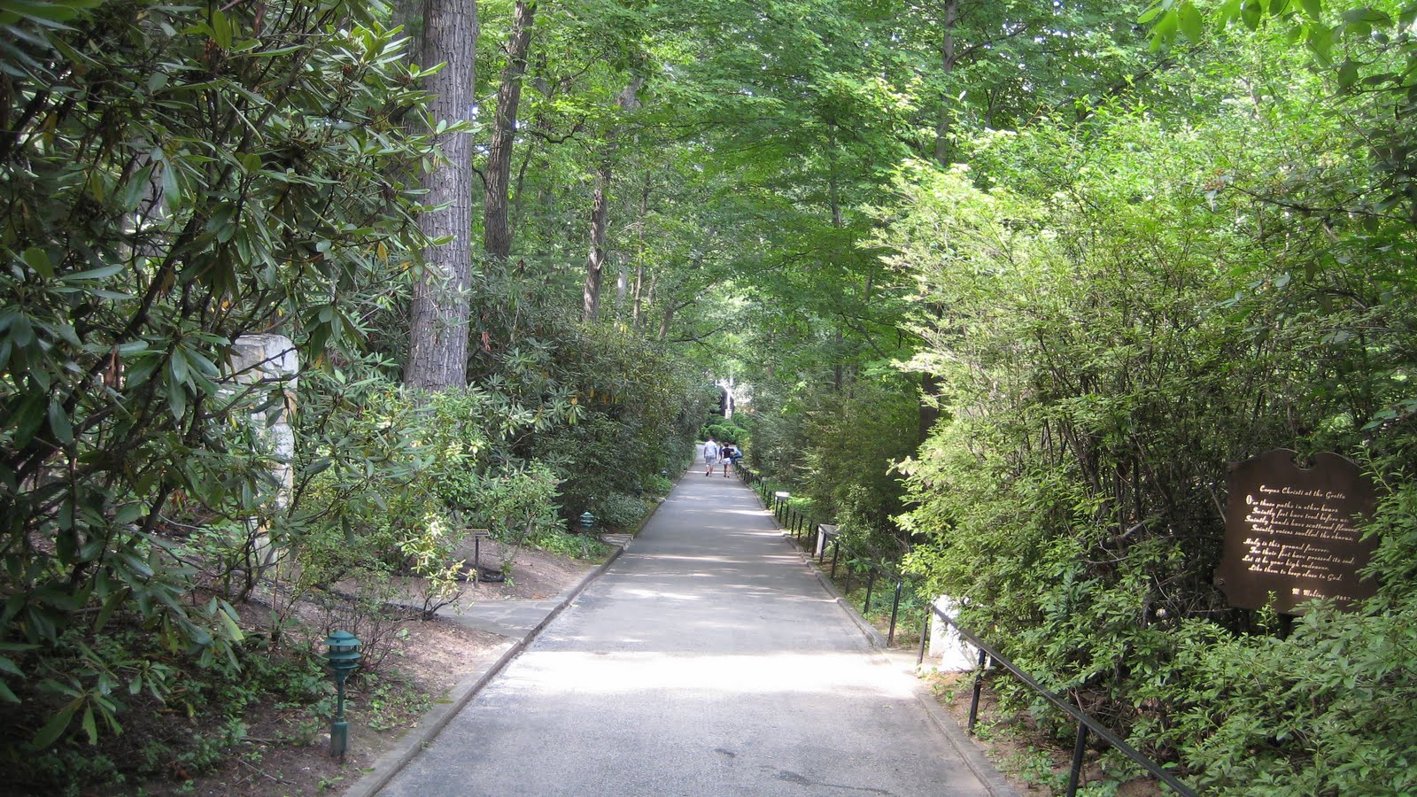 [IMG_2829.JPG]