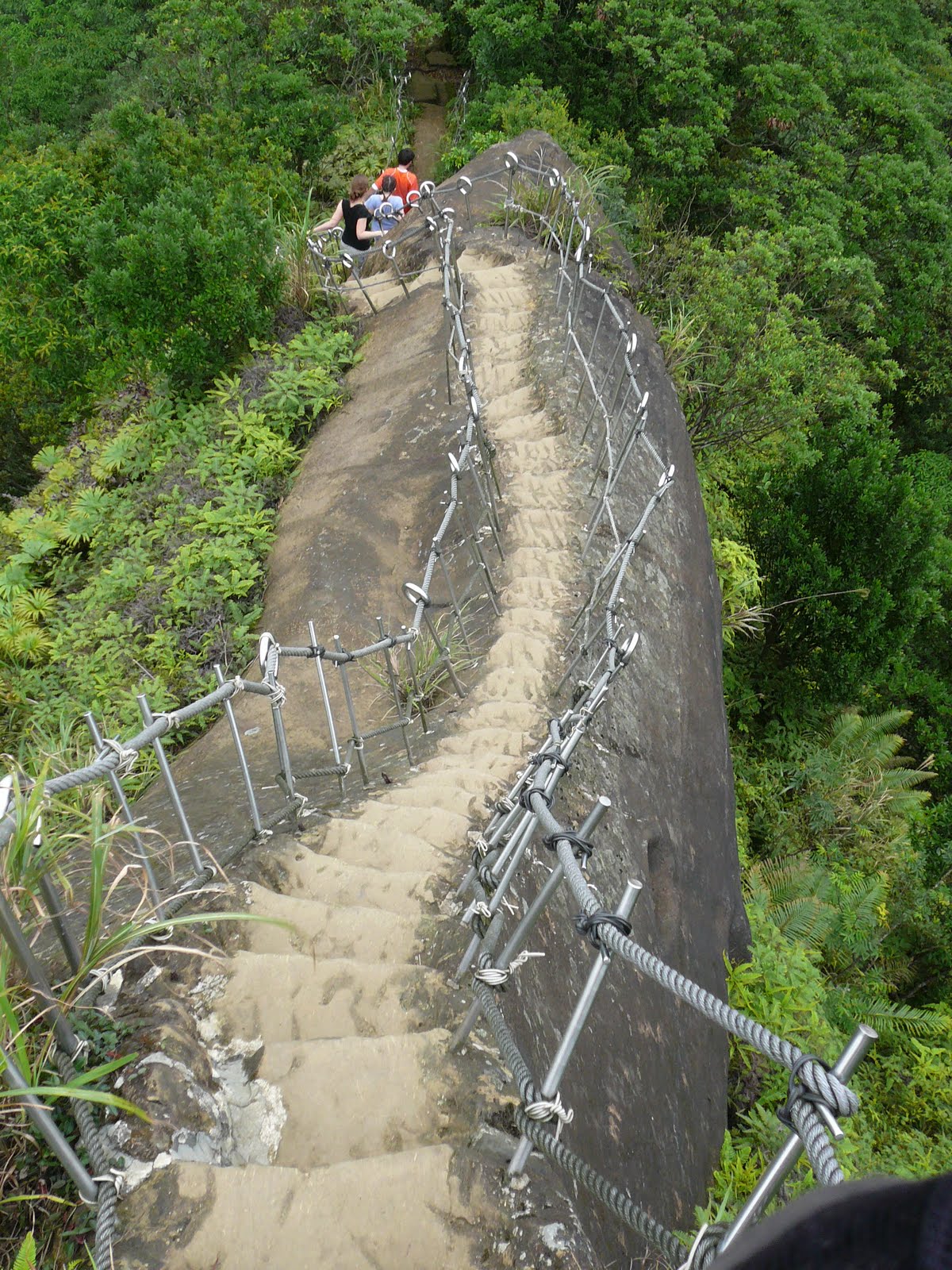 Here are a couple of pictures