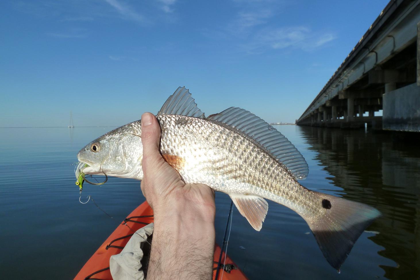 Matthew and Nancy's North American Tour Port Lavaca, Texas