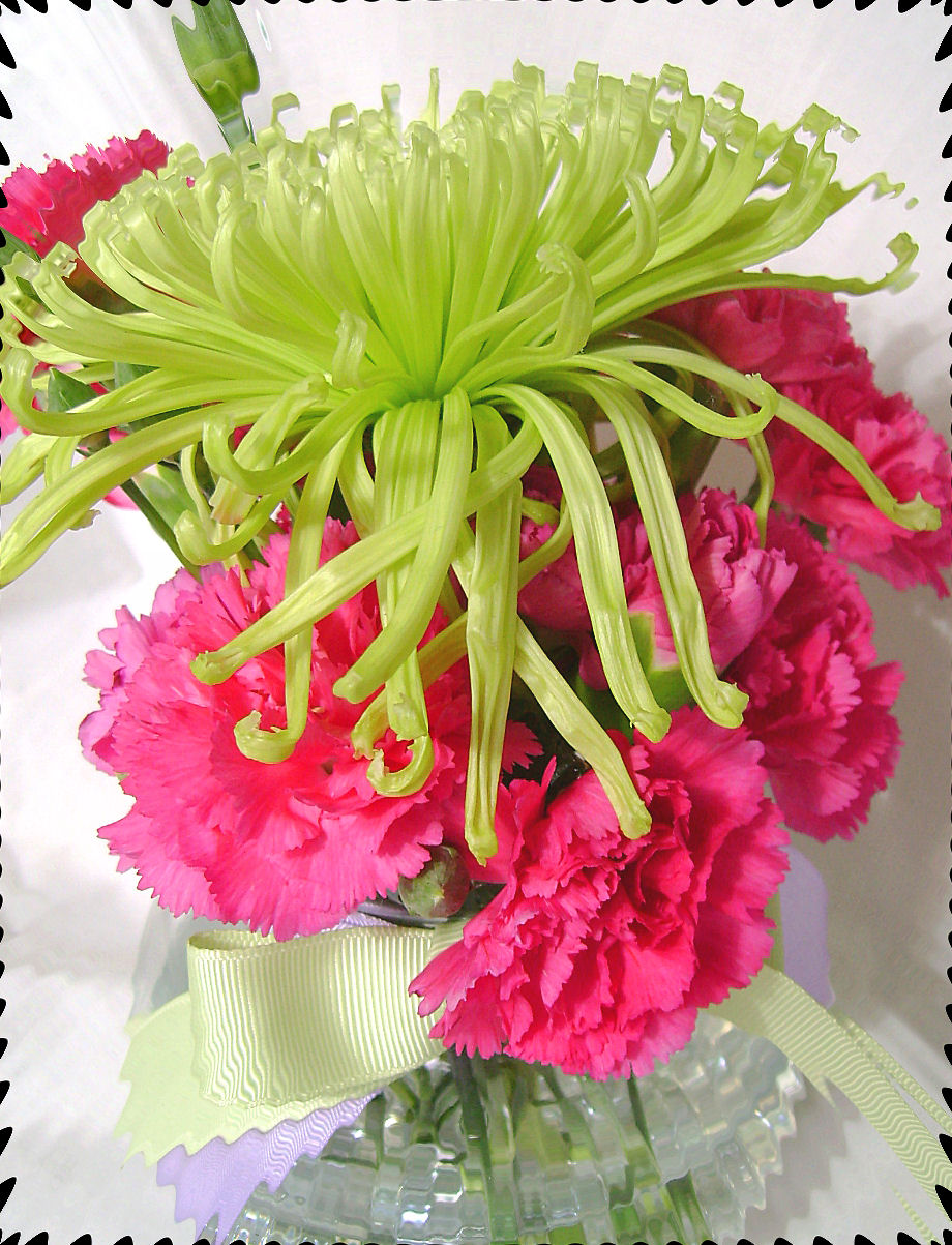 [flowers1.jpg]