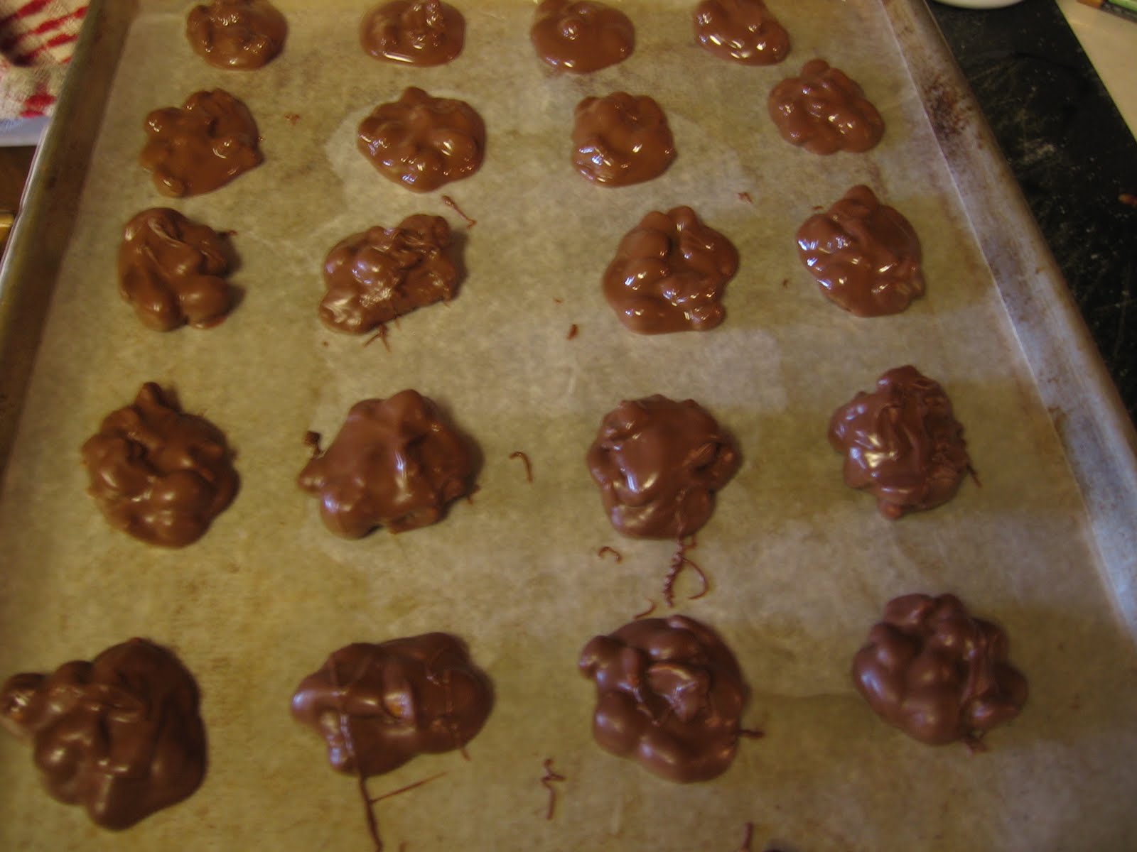 [Blopgspot..2.12.10+005.JPG]