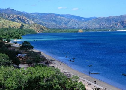 [timor+see.jpg]