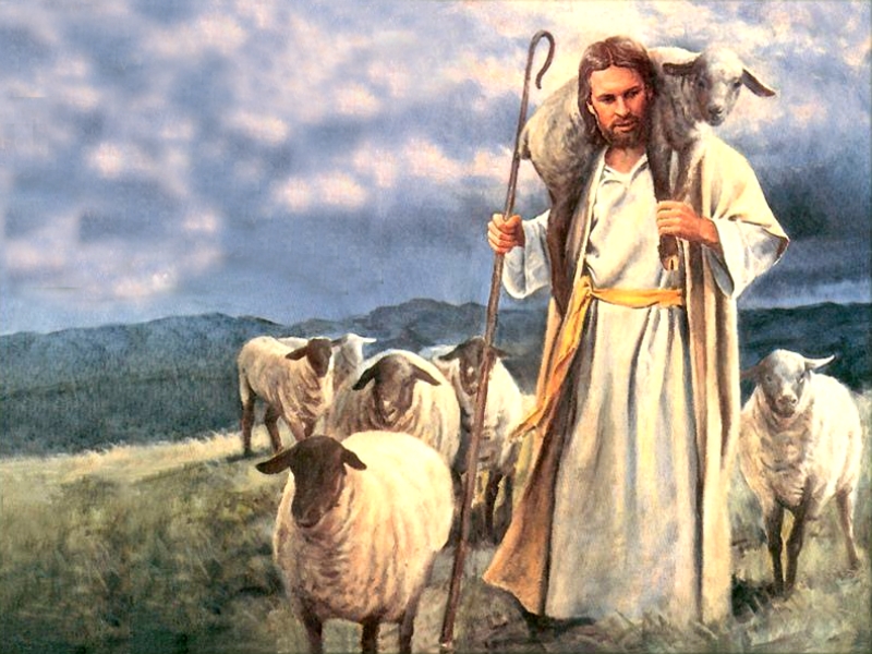 [JesusSheep-011.jpg]