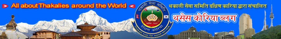थसेस कोरिया ब्लग-
