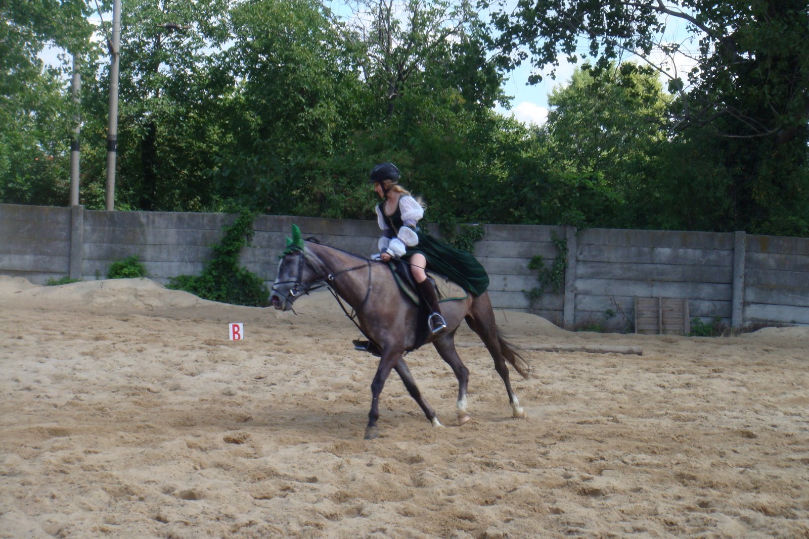 [DSC04685.JPG]