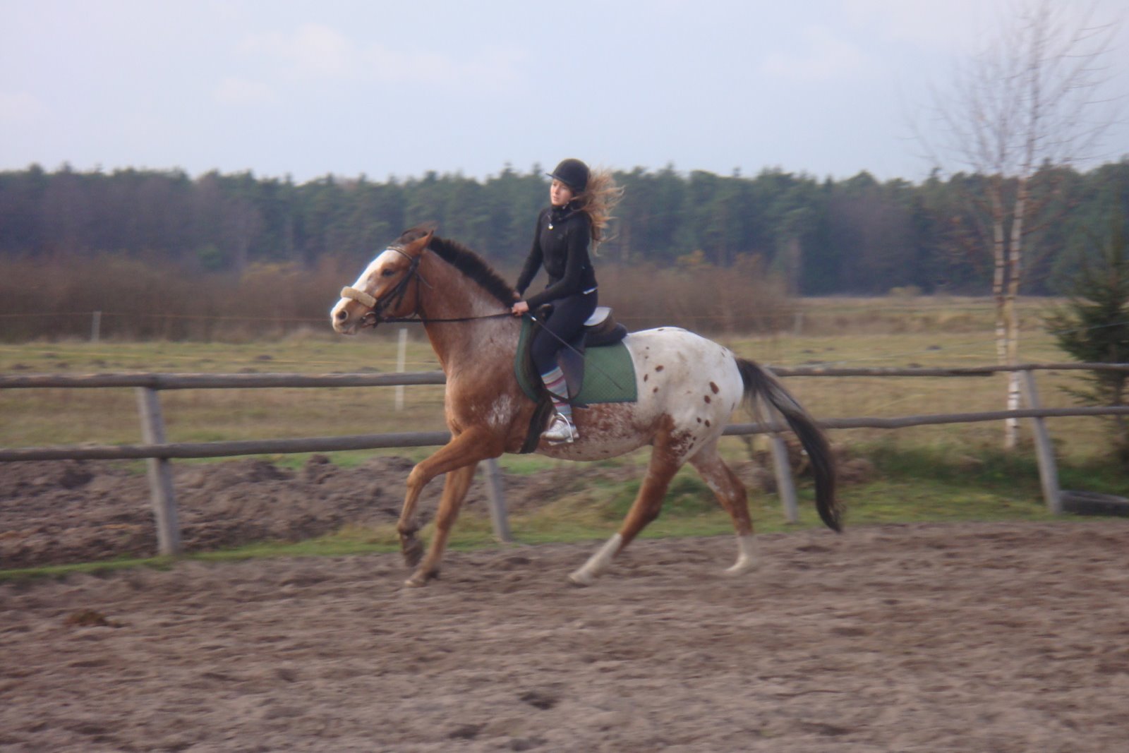 [DSC05705.JPG]