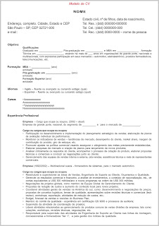 modelos curriculum simples