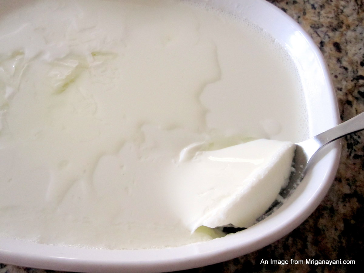 Love & Lentil Make Yogurt at home and then make Shrikand too at home!