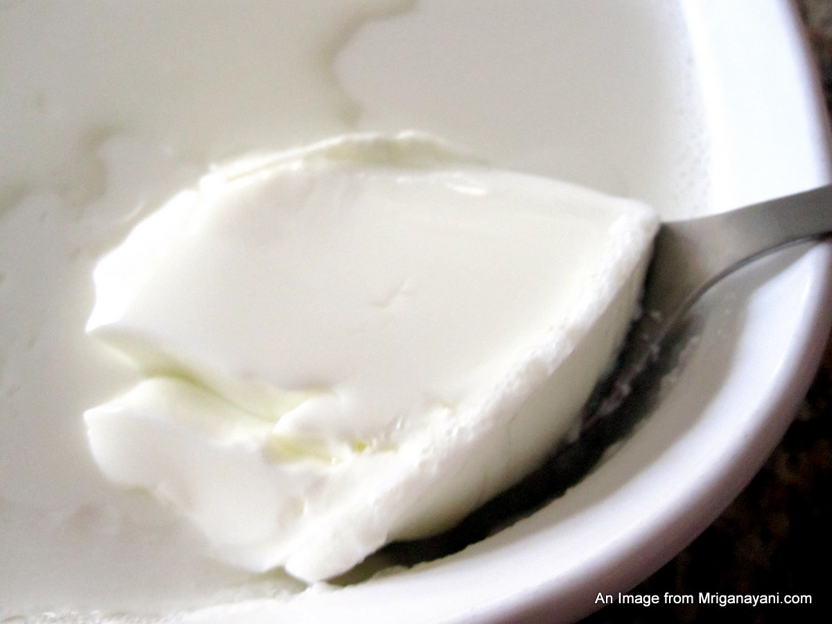 Love & Lentil Make Yogurt at home and then make Shrikand too at home!