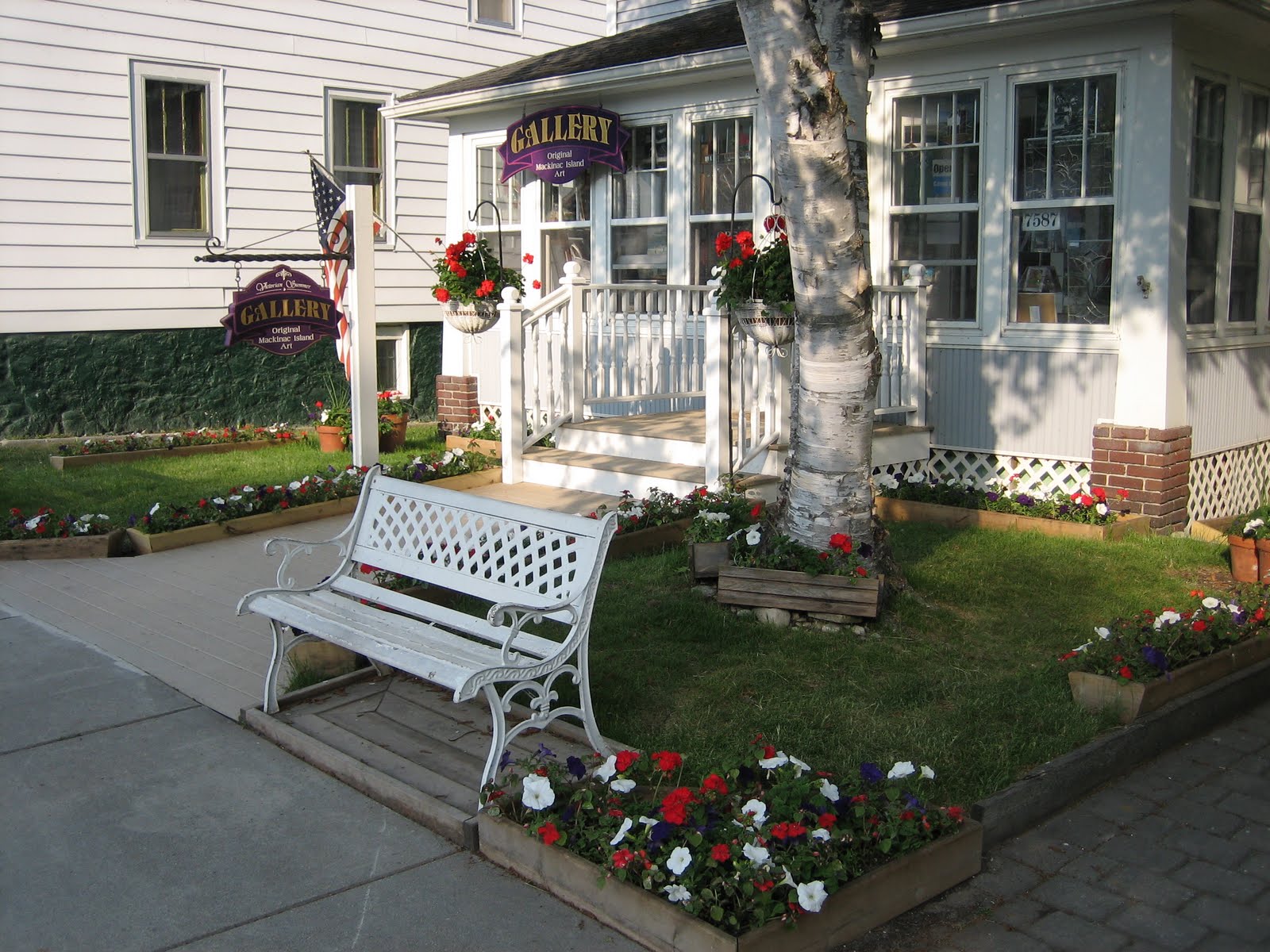 Victorian Summer Gallery: Pictures of the flowers in the front yard