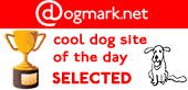 Cool Dog Site of the Day