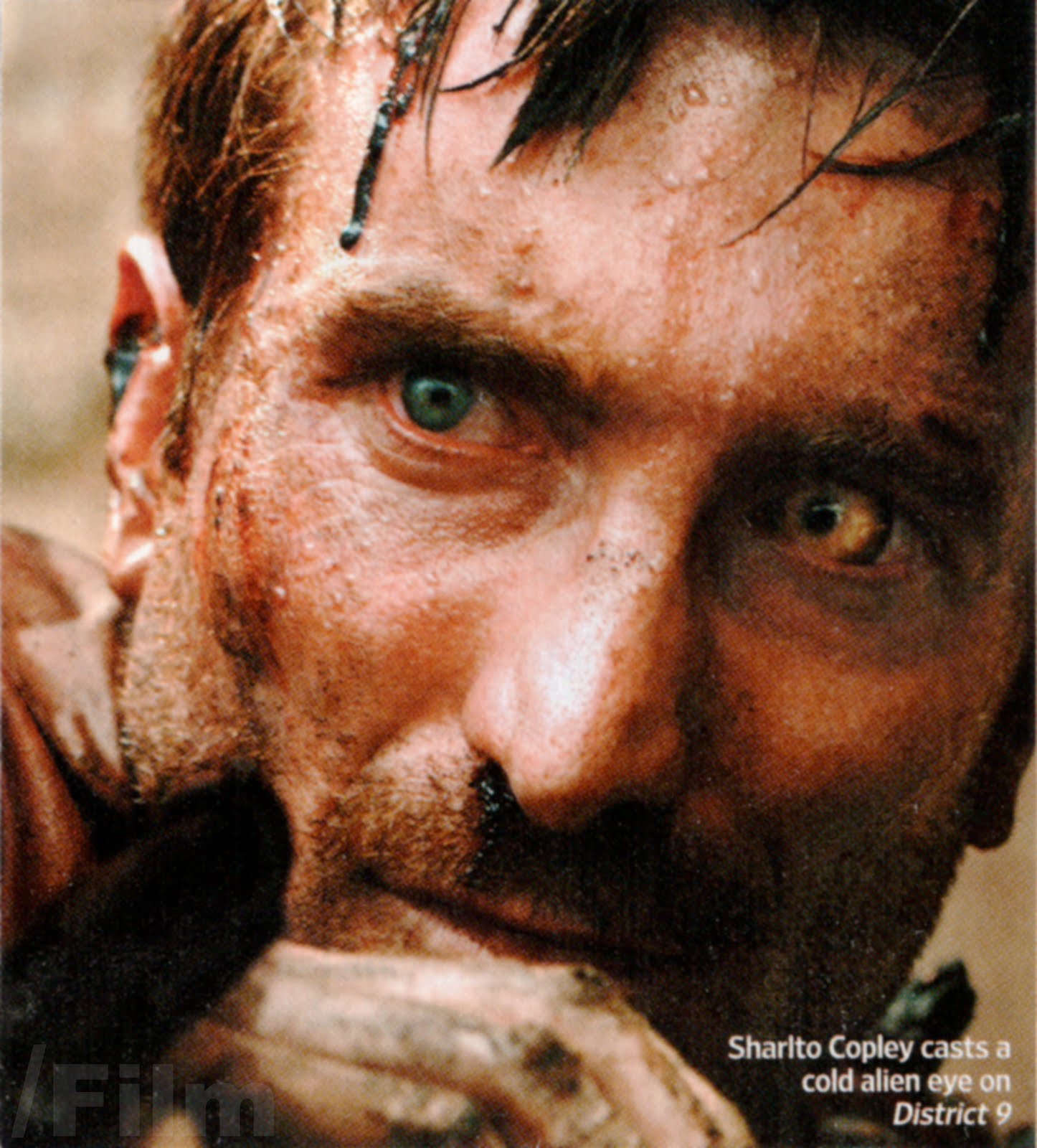 [district9.jpg]