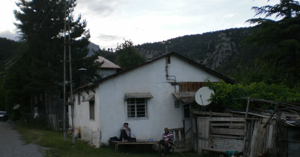 inci çiçeği yayla evleri