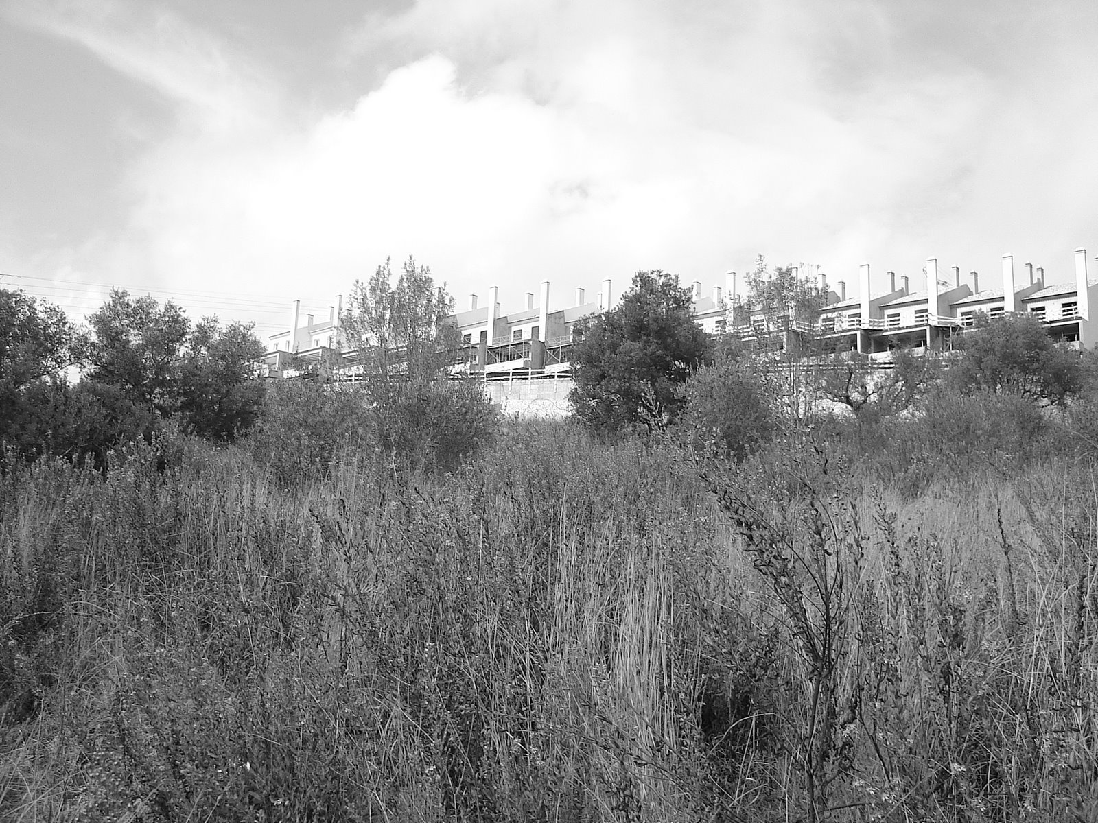 [Mafra+2008+003.JPG]