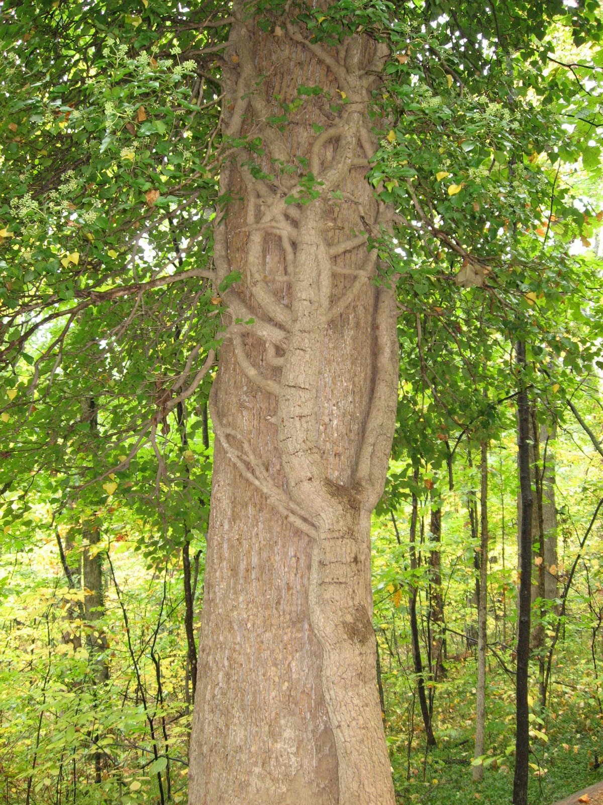 [IMG_0766.JPG]