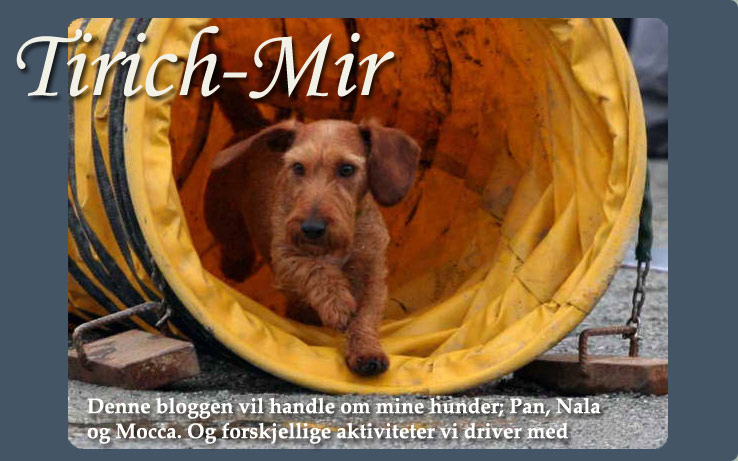 Tirich-Mir