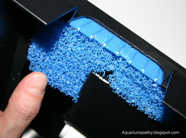 [paludariumpro+001.jpg]