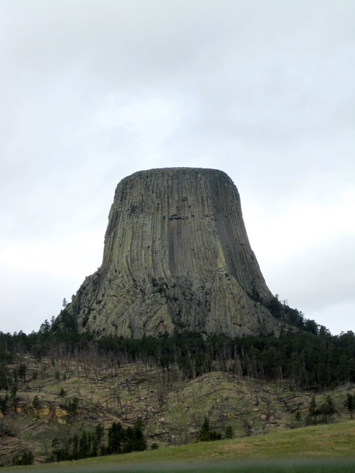 Devils+tower+wyoming+wikipedia